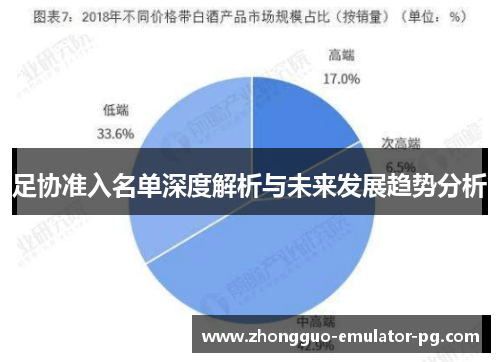 足协准入名单深度解析与未来发展趋势分析 足协准入名单深度解析与未来发展趋势分析