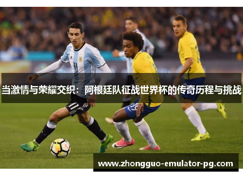 当激情与荣耀交织：阿根廷队征战世界杯的传奇历程与挑战