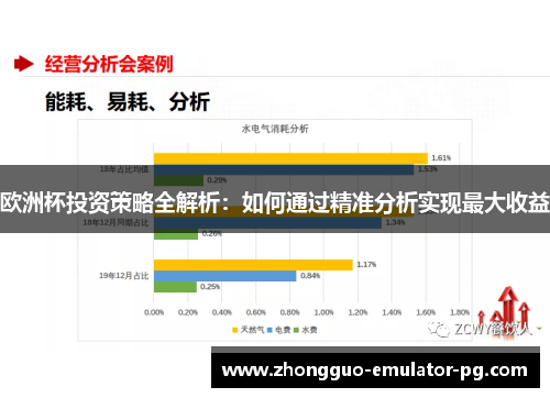 欧洲杯投资策略全解析：如何通过精准分析实现最大收益