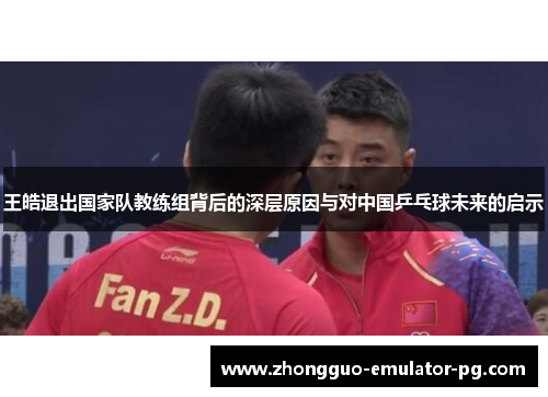 王皓退出国家队教练组背后的深层原因与对中国乒乓球未来的启示