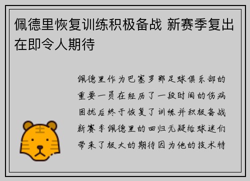 佩德里恢复训练积极备战 新赛季复出在即令人期待 佩德里恢复训练积极备战 新赛季复出在即令人期待